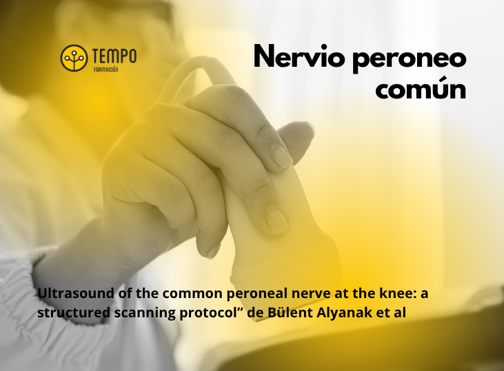 nervio-peroneo-comun-y-ecografia